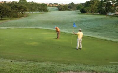 Historia de  La Mantaraya  de las hadas..
