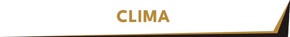 Titulo 11