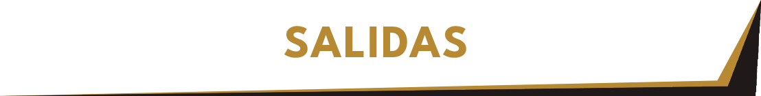 Titulo 6