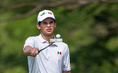 Nominados y ganadores de la FMG en distinciones nacionales