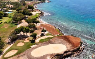 Avanza con rapidez restauración del campo Teeth of the Dog