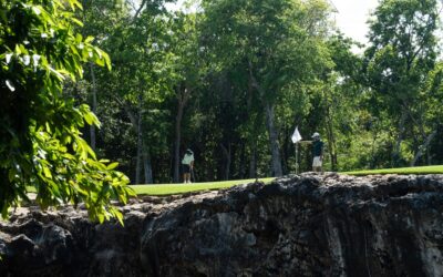 JUNGLE: la transformación del talento juvenil en oportunidades concretas